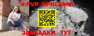 прущие грибы Кинель